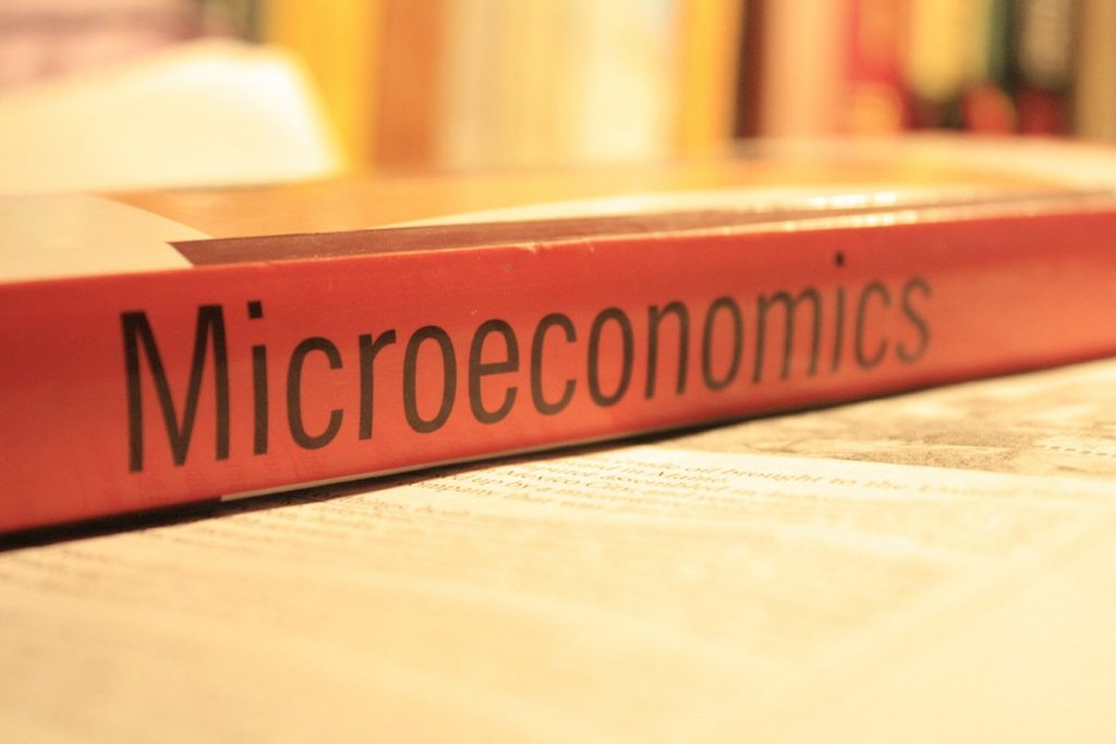 speech on micro economics