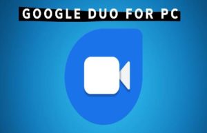 google duo pc download
