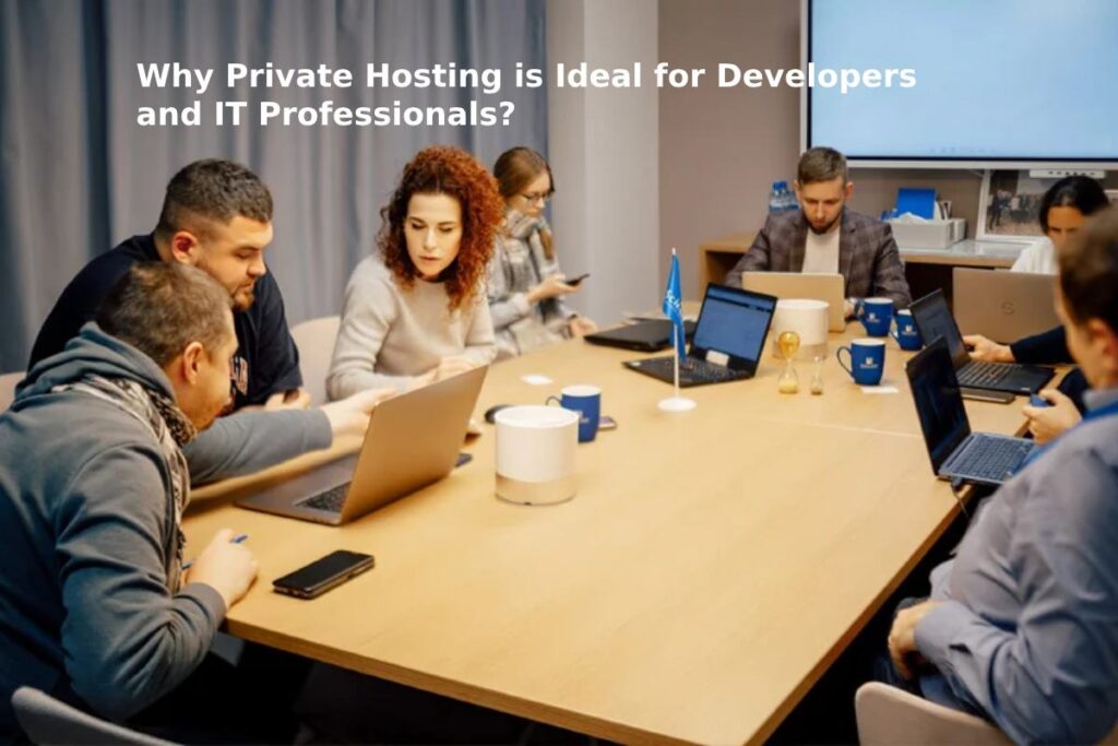 Why Private Hosting is Ideal for Developers and IT Professionals?